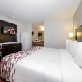 Red Roof Inn Arlington – Entertainment District
