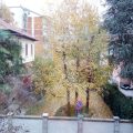 Residence Il Pino