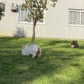 San Bernardo Park Hotel