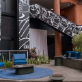 Swan Novo Hamburgo