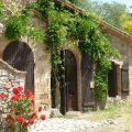 Tenuta Il Tresto