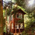 The Treehouse at Deer Harbor