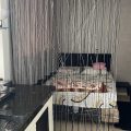 Vila do Sol Apart Hotel