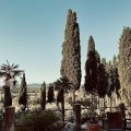 Villa Il Poggio