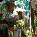 Wiki Hostel & Green Village