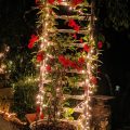 1830 Hallauer House Bed & Breakfast