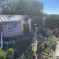 3 Dawg Night Ranch