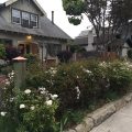 A White Jasmine Inn