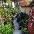 Always Inn San Clemente