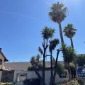 Americas Best Value Inn Concord, CA