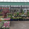 Aux Fleurs des Champs