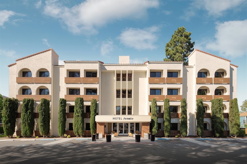 Avante, a JDV by Hyatt Hotel in Mountain View, California, United States