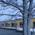 B&B ‘t Koolhof