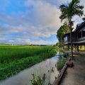 Baan Tung Boon Lom