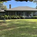 Banyan Tree Bed and Breakfast Retreat