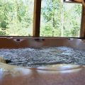 Beavers Bend Lodging