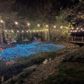 Belamere Suites Hotel