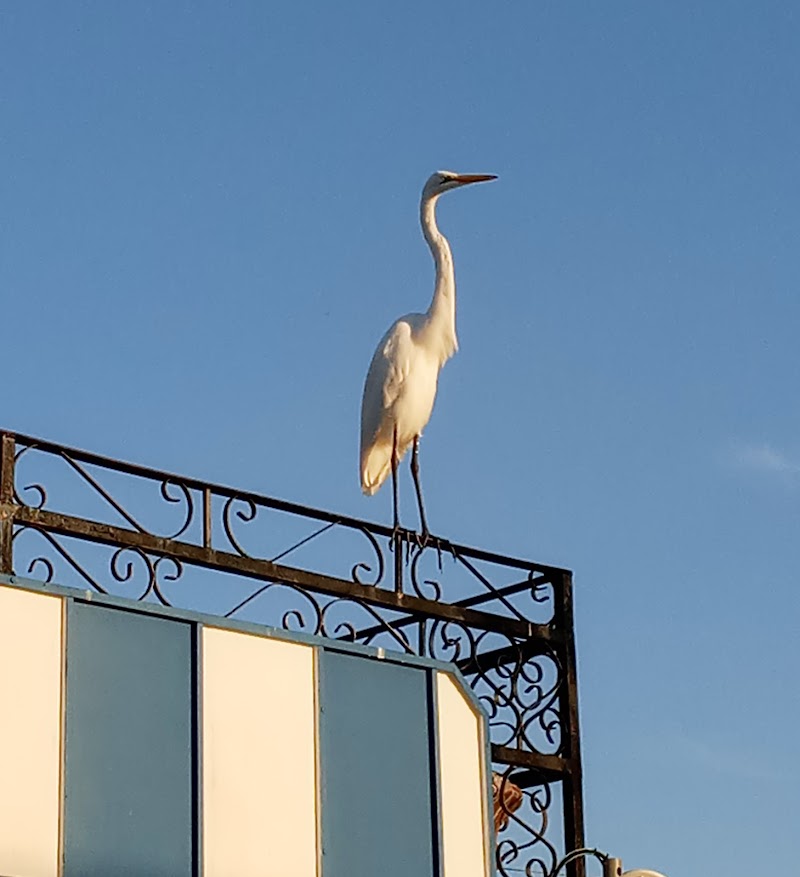 Belleair Village Motel in Largo, Florida, United States