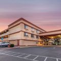 Best Western Plus Orchid Hotel & Suites