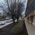 Best Western Southlake Inn