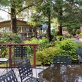 Black Bear Inn