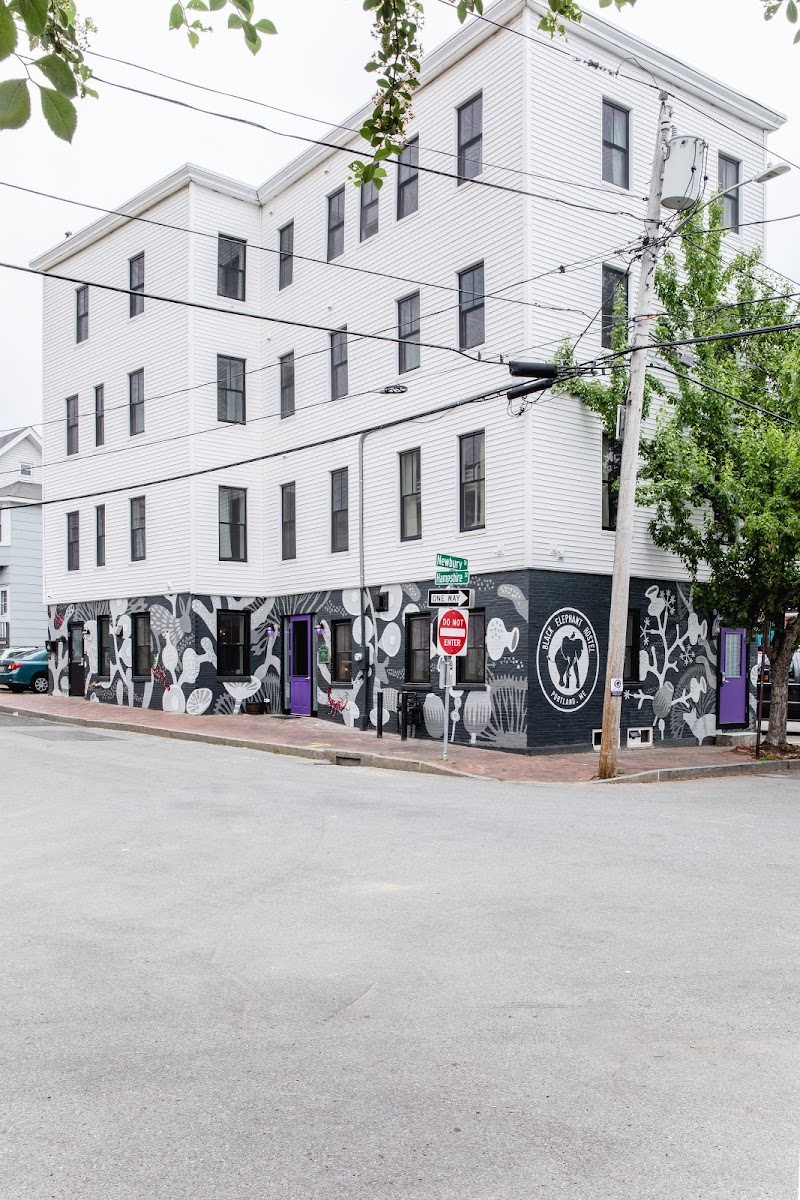 Black Elephant Hostel in Portland, Maine, United States