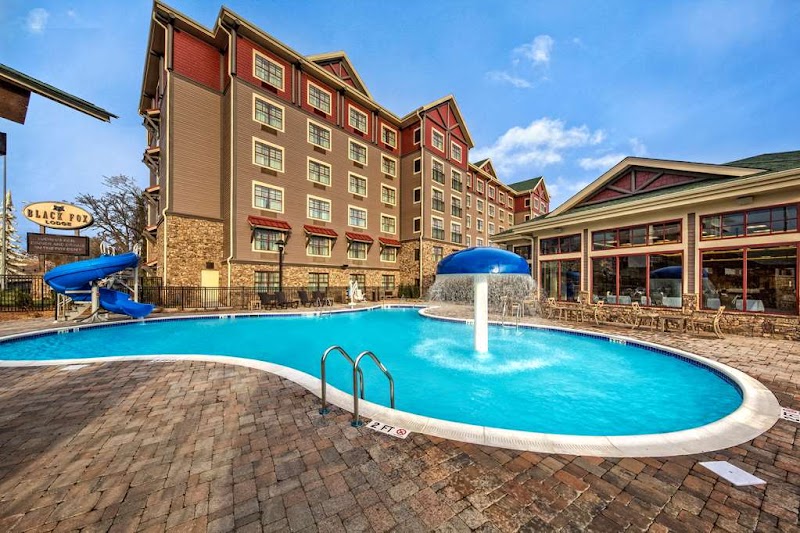 Black Fox Lodge Pigeon Forge, Tapestry Collection by Hilton in Pigeon Forge, Tennessee, United States