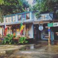 Blue Moon Saloon and Guesthouse