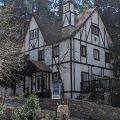 Bracken Fern Manor