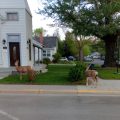 Buffalo Bill’s Antlers Inn