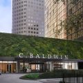 C. Baldwin, Curio Collection by Hilton