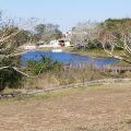 Calabay Parc at Tower Lake