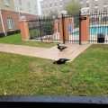 Candlewood Suites League City