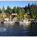 Chinook Shores Lodge
