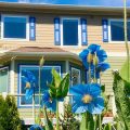Cliff House Bed and Breakfast