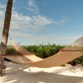 Coconut Palm Inn