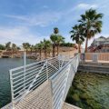 Colorado River Oasis