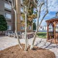 Comfort Inn & Suites Kannapolis – Concord