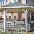 Comfort Inn & Suites Near Fort Gordon