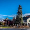 Compass Rose Lodge