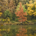 Copper Creek Cabins