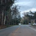 Cotati Hotel