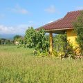 Country Retreat
