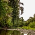 Creekside Estates B&B
