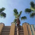 Crystal Shores West