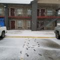 Cypress Inn and Suites