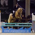 De Zilveren Paarden