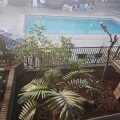 Diamondhead Inn & Suites