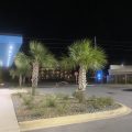 Dolphin Inn