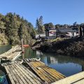 Dolphin Isle Marina & RV Park